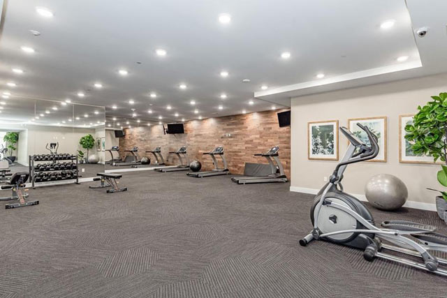 Fitness